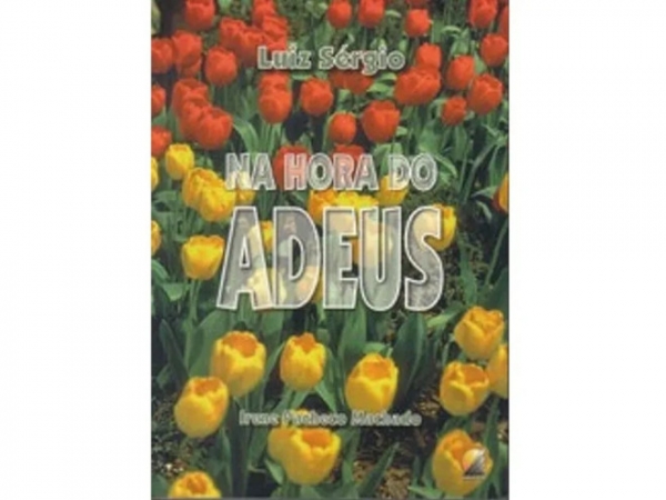 Dica de Livro Espírita: Na Hora do Adeus